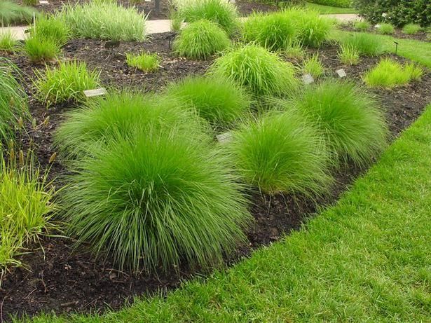 landscaping-grasses-ideas-74_2 Озеленяване треви идеи