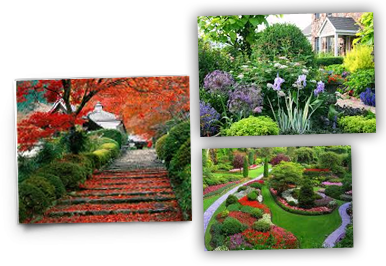 landscaping-your-own-garden-50_2 Озеленяване на собствената ви градина
