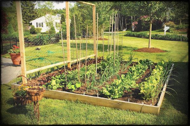 latest-gardening-ideas-47_6 Най-новите идеи за градинарство
