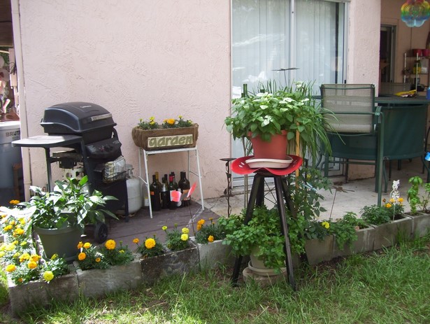 little-backyard-garden-10 Малък двор градина
