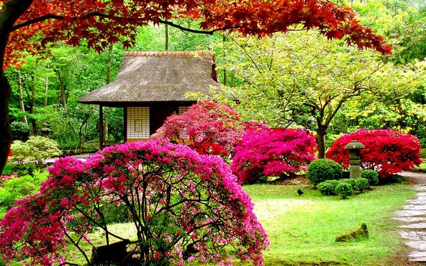 make-a-beautiful-garden-03 Създайте красива градина