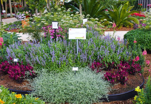 planting-a-flower-bed-ideas-85_16 Засаждане на идеи за цветни лехи