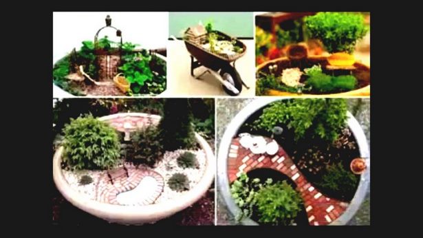 simple-and-cheap-garden-ideas-88_13 Прости и евтини идеи за градина