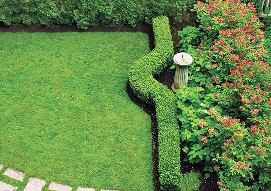 simple-house-garden-design-60_14 Проста къща градина дизайн