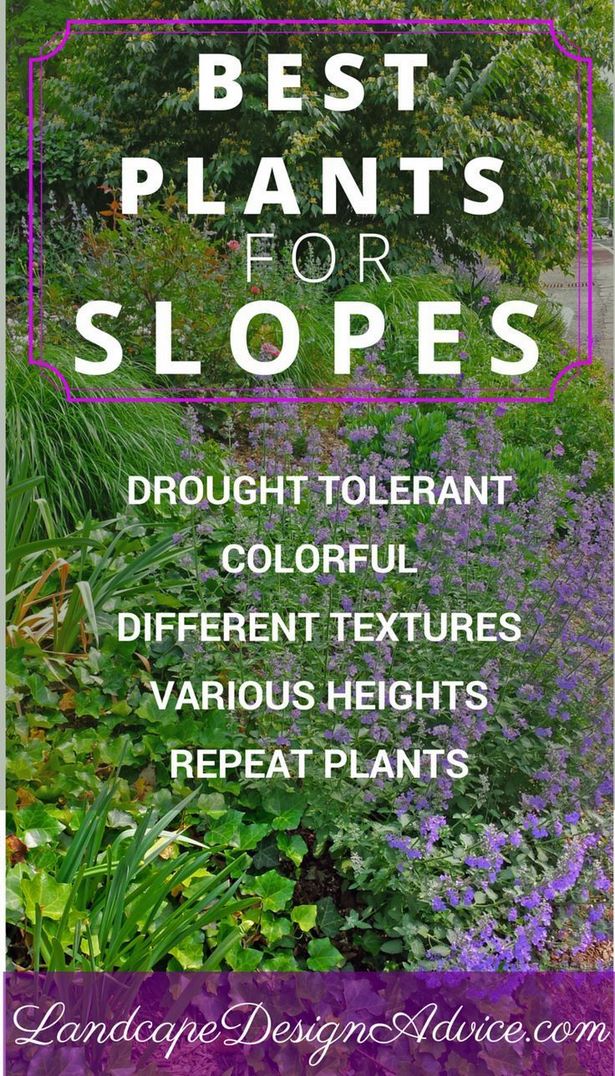 slope-landscaping-ideas-00_14 Идеи за озеленяване на склонове