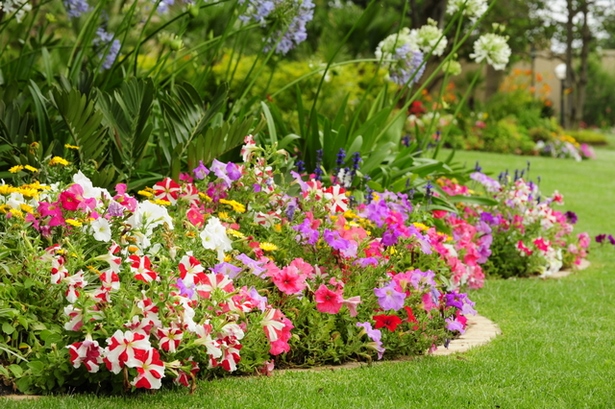 small-colourful-garden-ideas-37_4 Малки цветни градински идеи