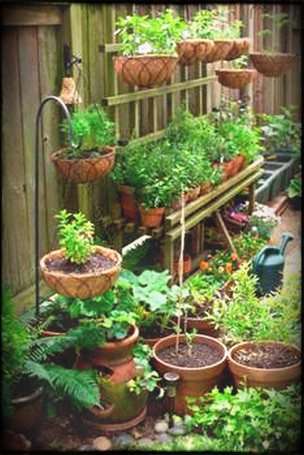 small-outdoor-garden-designs-95_19 Малки външни градински дизайни