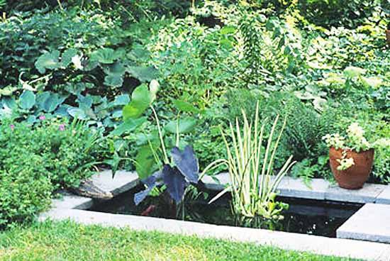 small-rectangular-garden-design-ideas-87_2 Малки правоъгълни идеи за дизайн на градината