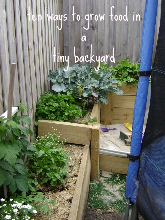 tiny-backyard-30_17 Малък заден двор