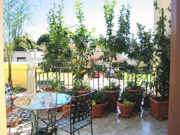 design-ideas-for-small-patio-gardens-60 Дизайнерски идеи за малки дворове градини