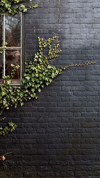 ideas-for-outside-brick-walls-92_8 Идеи за външни тухлени стени