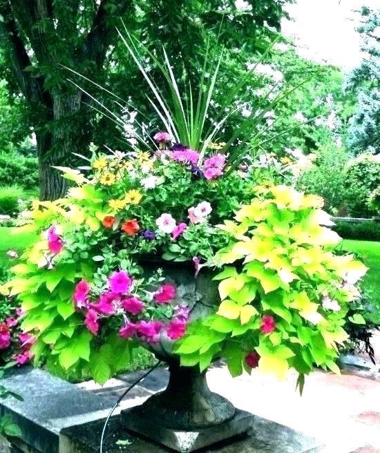 patio-ideas-with-flowers-16_6 Идеи за вътрешен двор с цветя