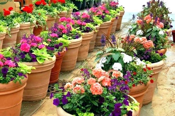 patio-ideas-with-flowers-16_8 Идеи за вътрешен двор с цветя