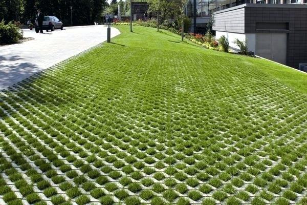 paving-and-grass-ideas-91_7 Идеи за павета и трева