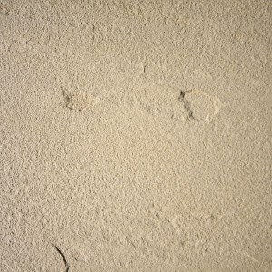 sandstone-concrete-pavers-04_16 Павета от пясъчник