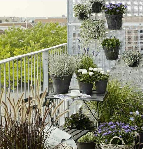 small-balcony-garden-ideas-pictures-72_2 Малък балкон градински идеи снимки