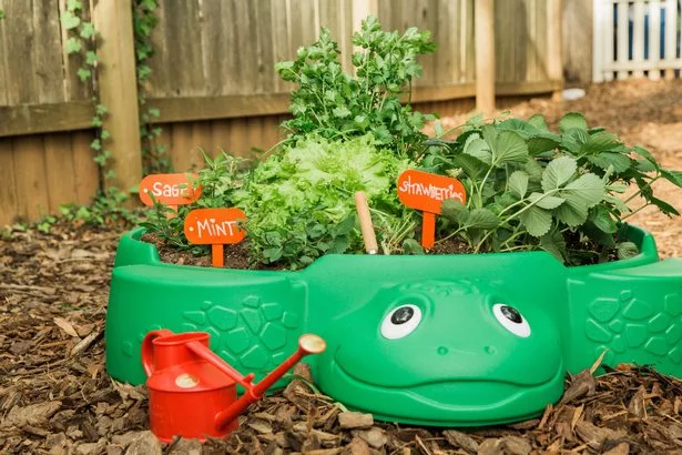 diy-garden-ideas-for-kids-14_11-5 Направи Си Сам градински идеи за деца