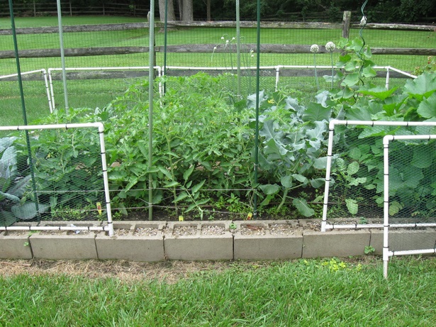 easy-garden-fence-ideas-84_15 Лесни идеи за градинска ограда