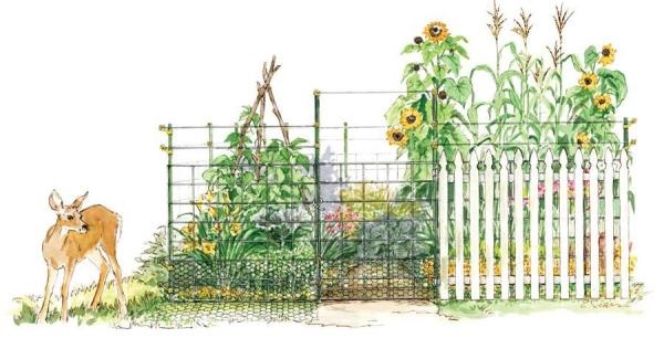 fence-for-garden-72_14 Ограда за градина