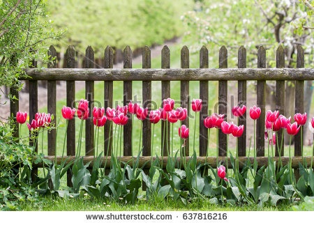 fence-garden-96_11 Ограда градина