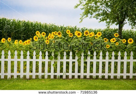 fence-garden-96_7 Ограда градина