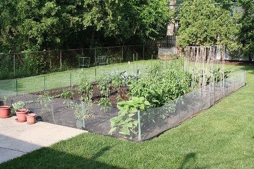 fenced-vegetable-garden-11_12 Оградена зеленчукова градина