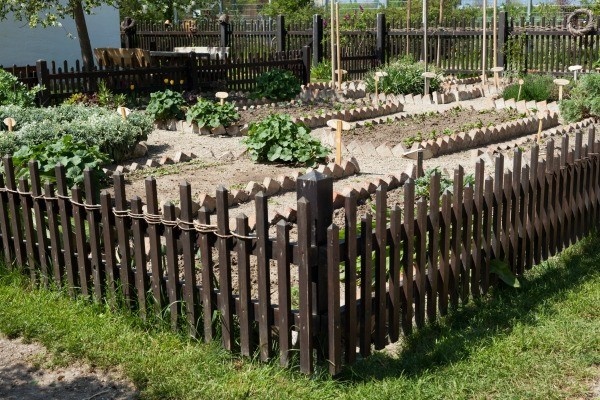 fenced-vegetable-garden-11_17 Оградена зеленчукова градина