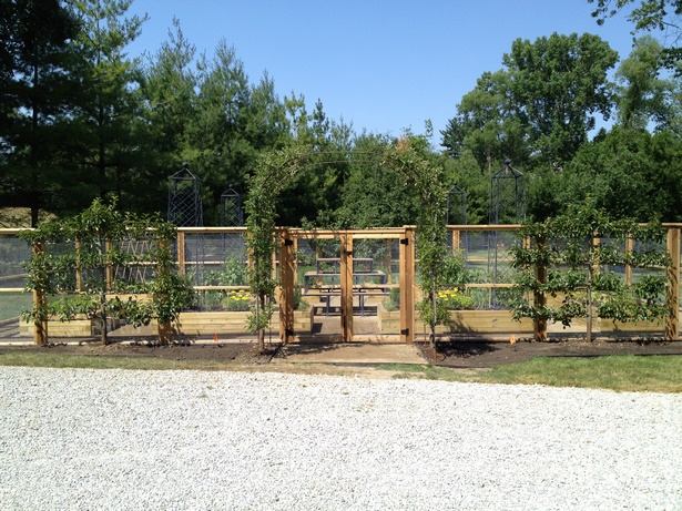 fenced-vegetable-garden-11_9 Оградена зеленчукова градина