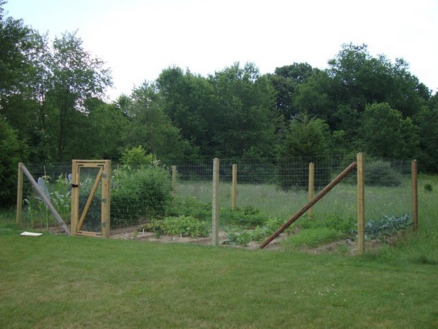 fencing-for-vegetable-gardens-14_7 Огради за зеленчукови градини