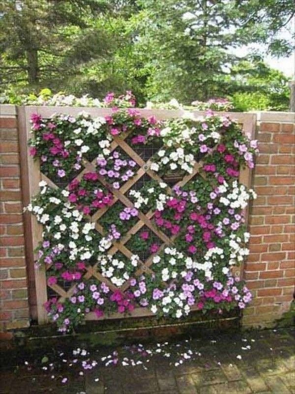 flower-fence-ideas-90 Идеи за цветна ограда