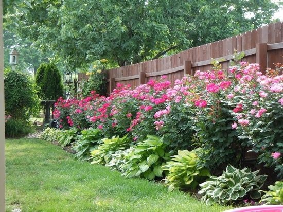 flower-fence-ideas-90_12 Идеи за цветна ограда