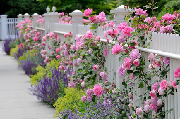 flower-fence-ideas-90_6 Идеи за цветна ограда
