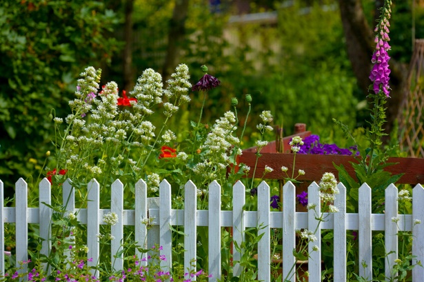 flower-fence-ideas-90_7 Идеи за цветна ограда