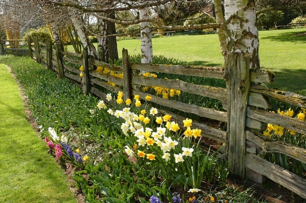 Цветна градина ограда идеи