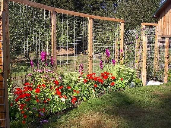 flower-garden-fence-ideas-93_4 Цветна градина ограда идеи