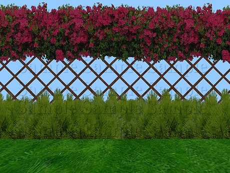 flower-garden-fence-84_14 Цветна градина ограда