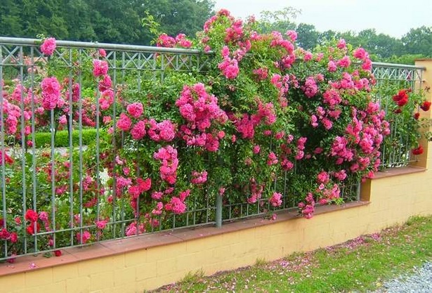 flower-garden-fencing-86_3 Цветна градина ограда