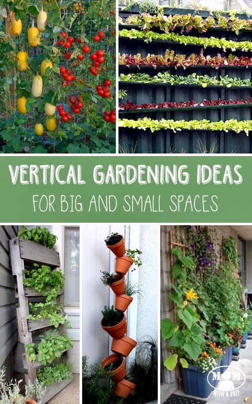 gardening-ideas-in-small-spaces-38_4 Градинарски идеи в малки пространства