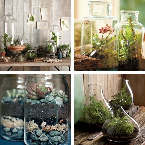 home-plant-ideas-60_4 Начало растения идеи
