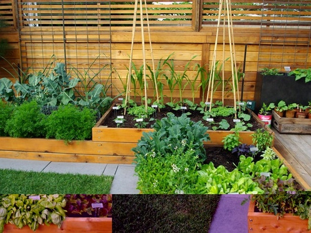 home-small-garden-ideas-26_18 Начало Идеи за малка градина