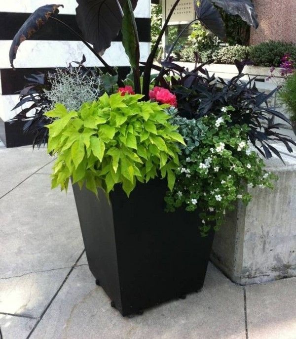 inexpensive-large-planter-ideas-37_20 Евтини идеи за големи плантатори