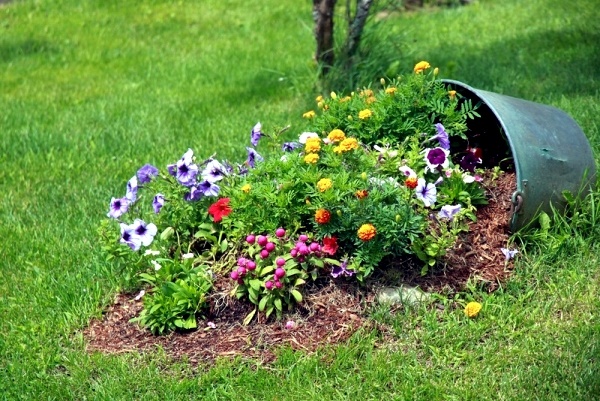 plant-ideas-for-garden-75_6 Растителни идеи за градината