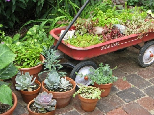 plants-ideas-for-a-garden-74 Растения идеи за градина