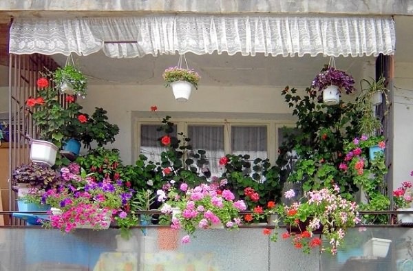 simple-balcony-garden-ideas-33_18 Прости идеи за балкон градина