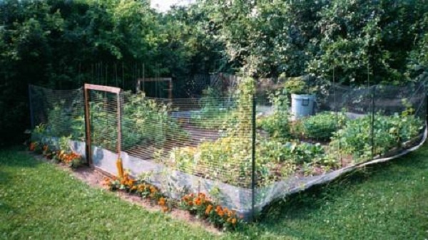 simple-garden-fence-51_10 Проста градина ограда