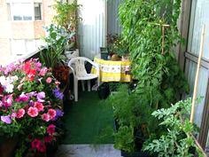 small-apartment-garden-ideas-86_17 Малък апартамент градински идеи