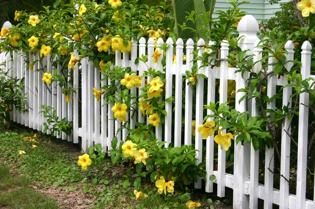 Малки идеи за ограда за градината