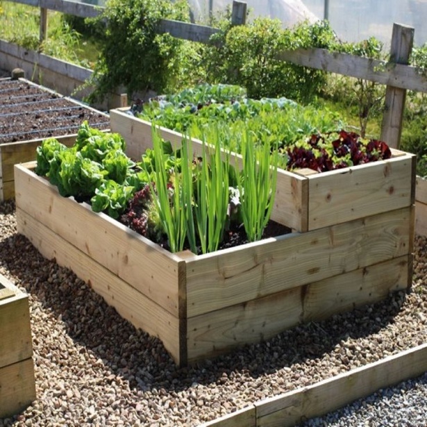 small-garden-vegetable-ideas-32_20 Малки градински зеленчукови идеи