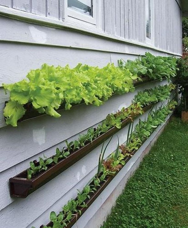 small-garden-vegetable-ideas-32_6 Малки градински зеленчукови идеи