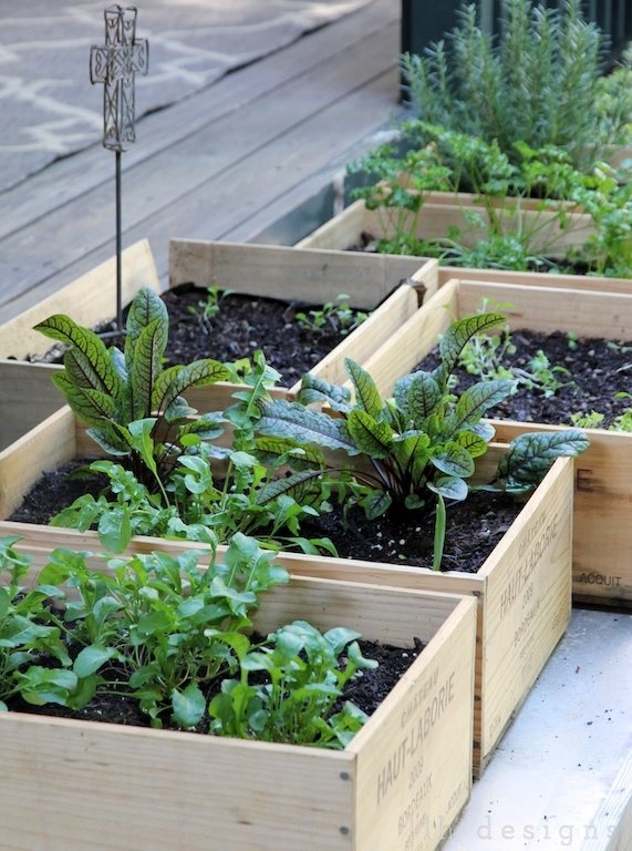 small-garden-vegetable-ideas-32_8 Малки градински зеленчукови идеи